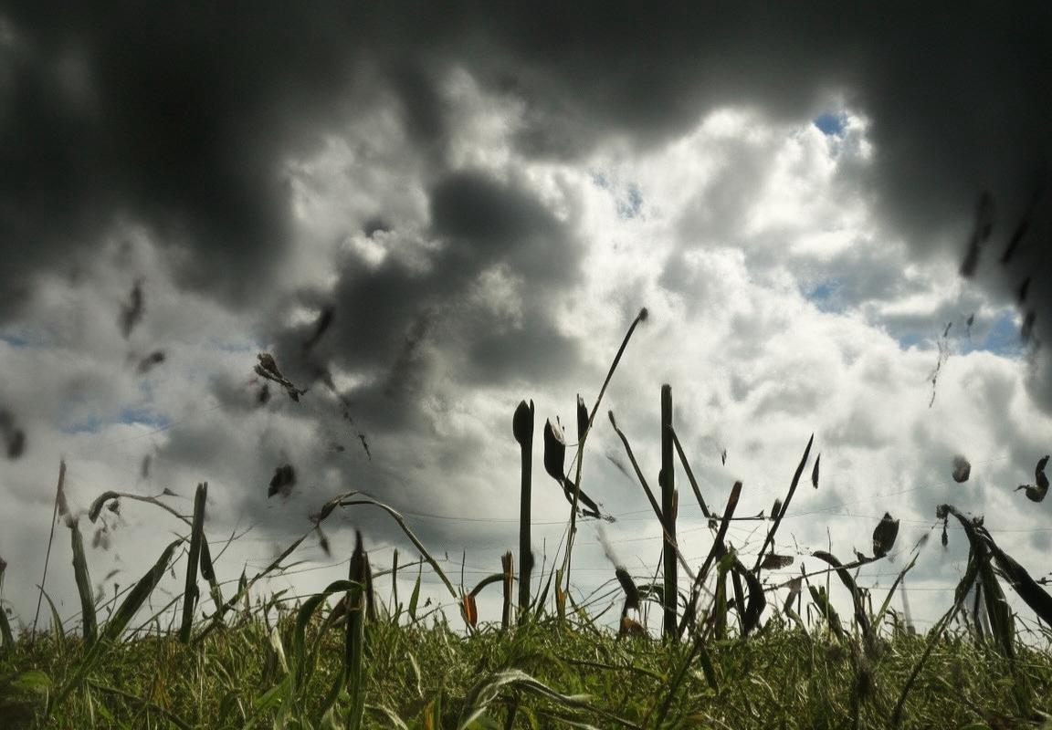 多伦多VS纽约：文化、经济、生活成本与交通便利性全方位对比(图2)